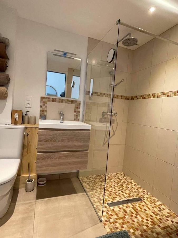 Chez Brunet Chambres D'Hotes Et Gite Lagraulet-du-Gers Esterno foto