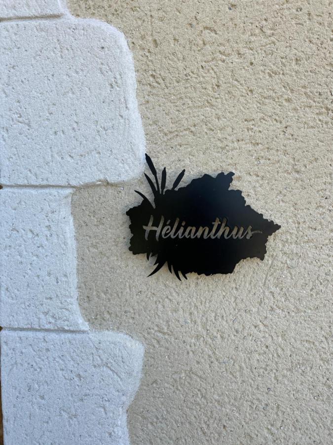 Chez Brunet Chambres D'Hotes Et Gite Lagraulet-du-Gers Esterno foto